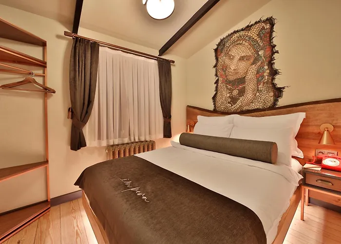 Impera - Special Category