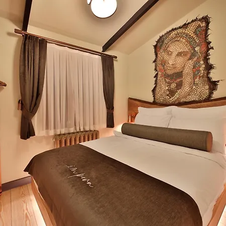 Impera - Special Category