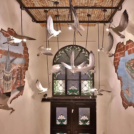 Impera - Special Category Стамбул